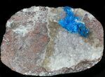 Bright Blue Cavansite Crystals on Stilbite - India #33695-2